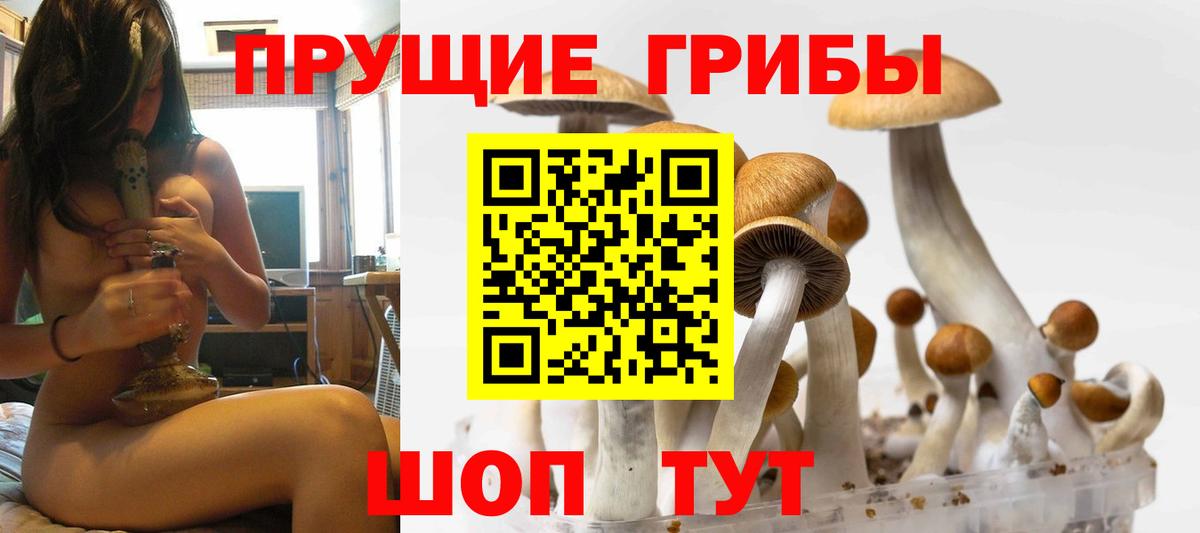 Псилоцибиновые грибы GOLDEN TEACHER  Галлюциногенные грибы мухоморы  Вичуга  Вход с VPN 